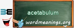 WordMeaning blackboard for acetabulum